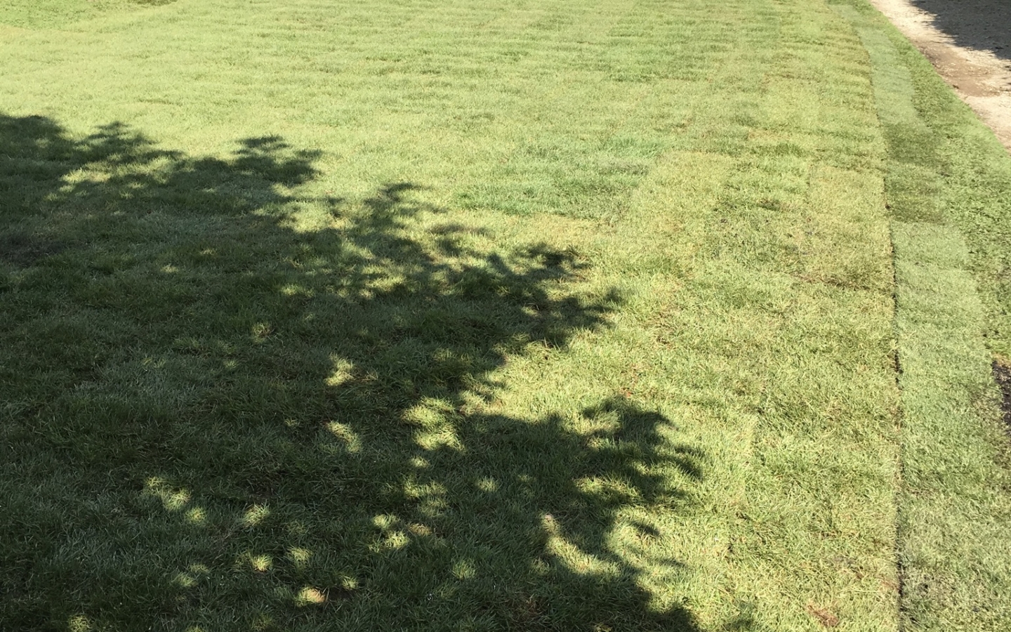 Exterior works swimming pool returned to lawn