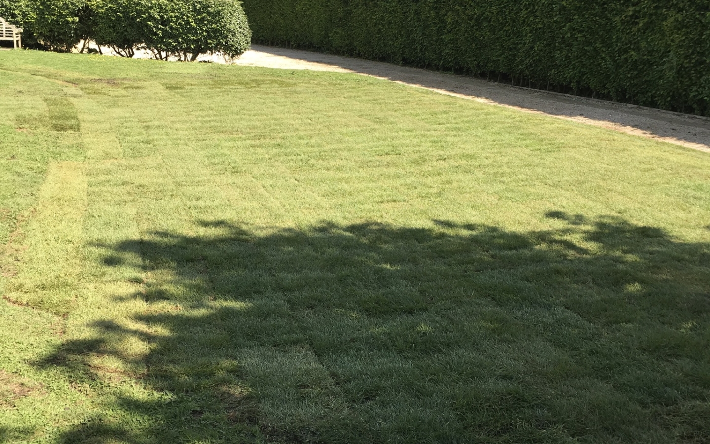 Exterior works swimming pool returned to lawn