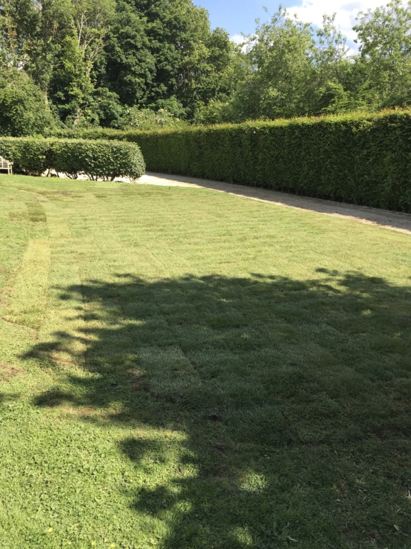 Exterior works swimming pool returned to lawn